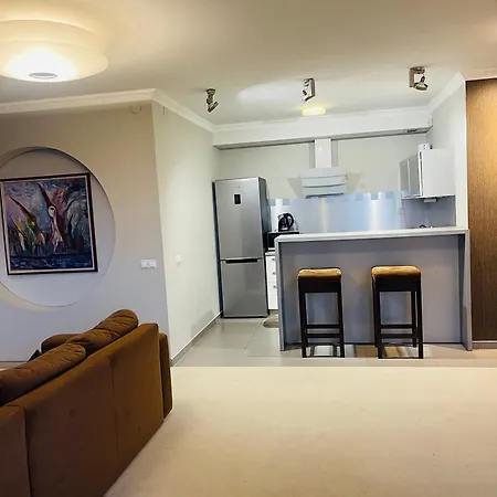 Panoramic Center Apartman *